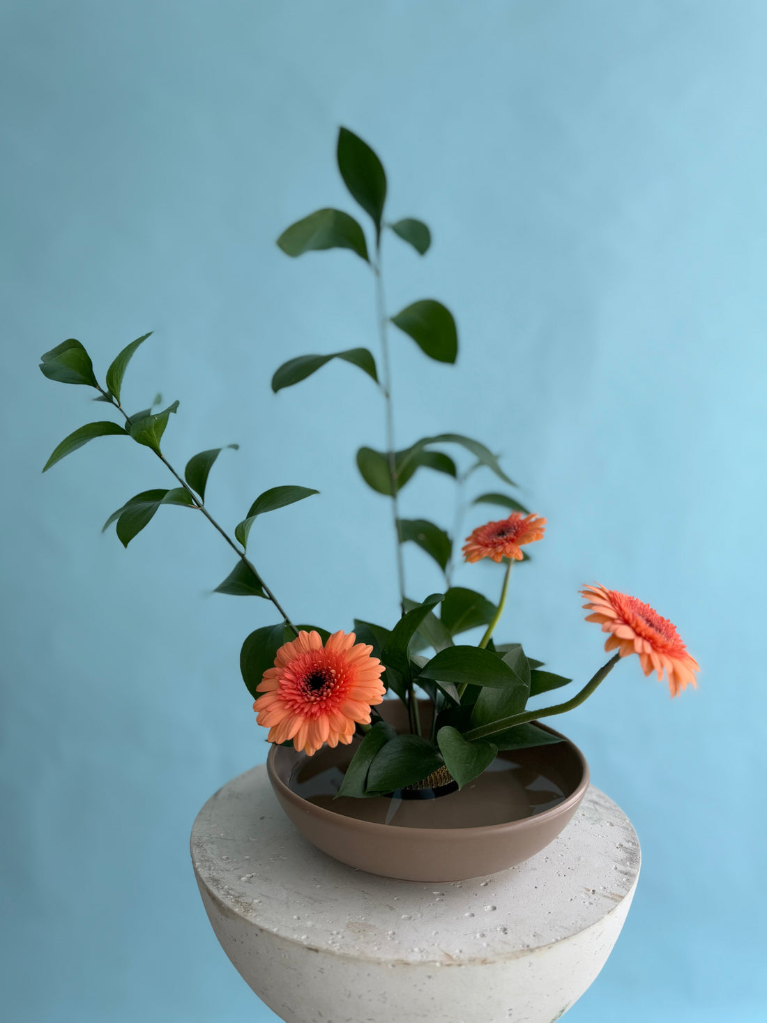 Ikebana – tišina, cvijet i sklad